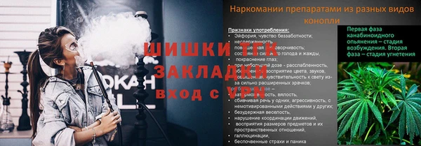 ГАЛЛЮЦИНОГЕННЫЕ ГРИБЫ Козловка